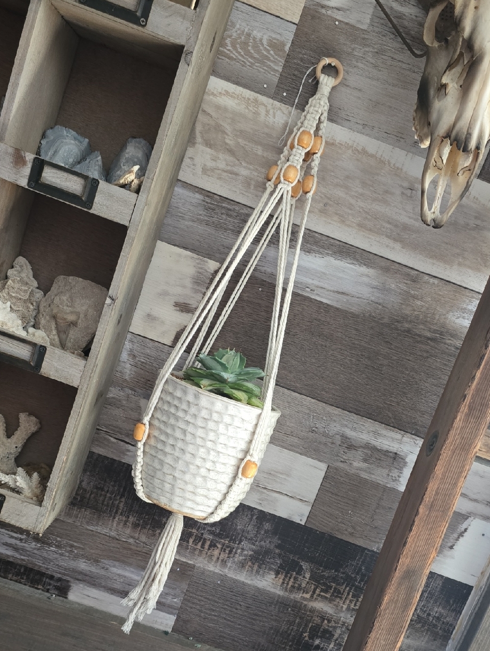 Macrame Plant Hanger